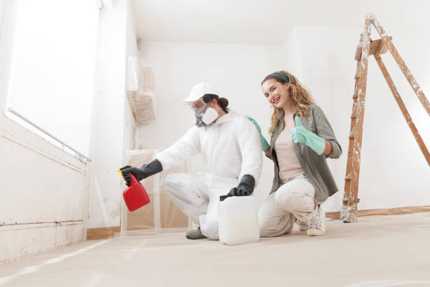 Best Basement Mold Removal  in St James City, FL