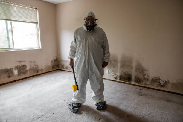 Best Asbestos and Lead Testing During Mold Inspection  in St James City, FL